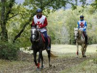 Croisade en Périgord Noir 2023